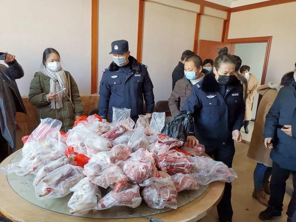 野豬闖入飯館，食客與野生動物的意外親密接觸