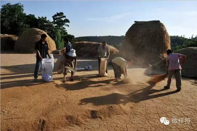 麥子阿姨的溫暖南下之旅，過冬路上的故事