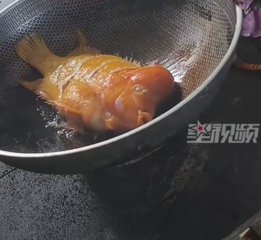 財神魚死亡 男子起鍋燒油含淚吃下