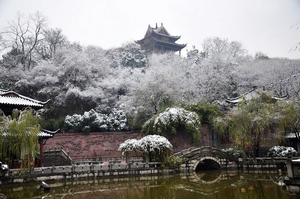 武漢雪落時(shí)分，冬日的驚喜與寧靜之美