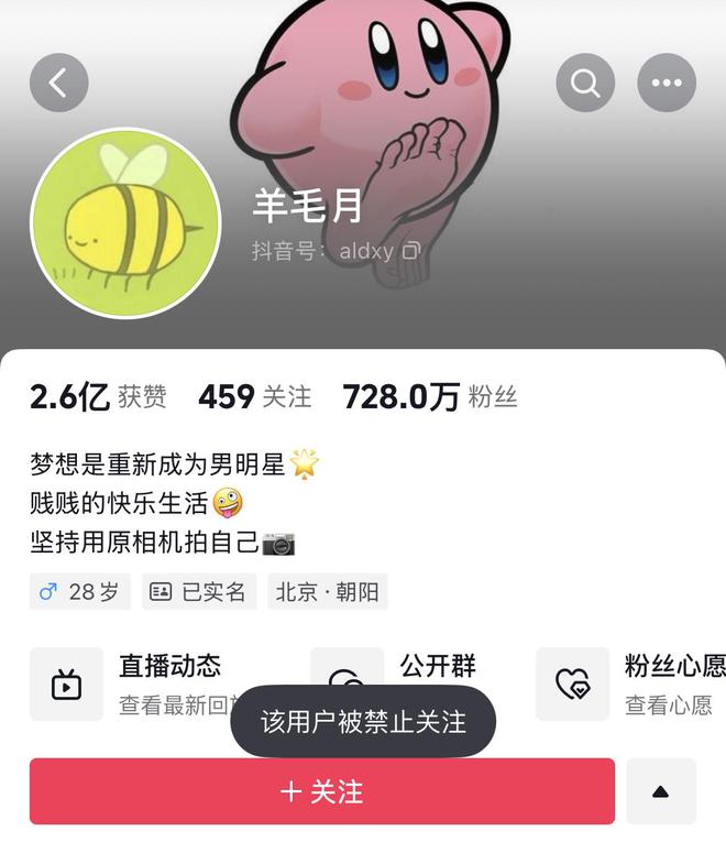 羊毛月被禁止關(guān)注背后的原因深度解析與反思