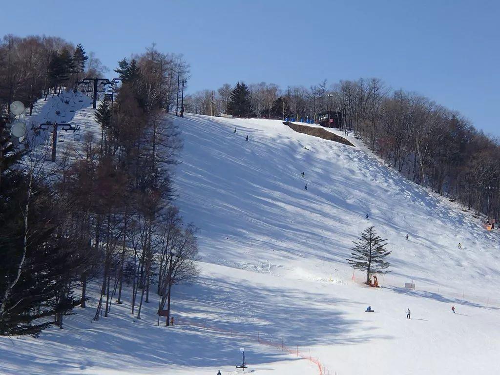 中國男游客在日本滑雪場遇難事件回顧與啟示