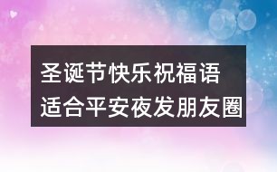 朋友圈里的圣誕溫馨分享與喜悅瞬間