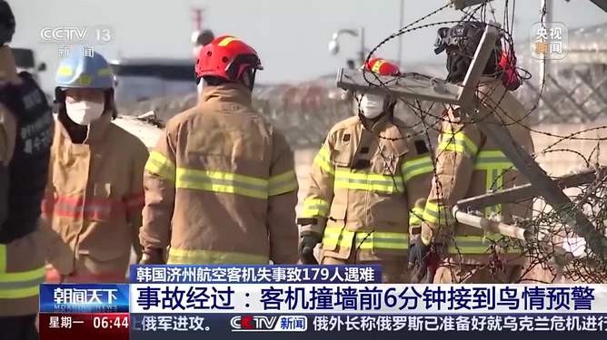 韓國客機撞墻前鳥情預(yù)警引發(fā)航空安全警鐘長鳴