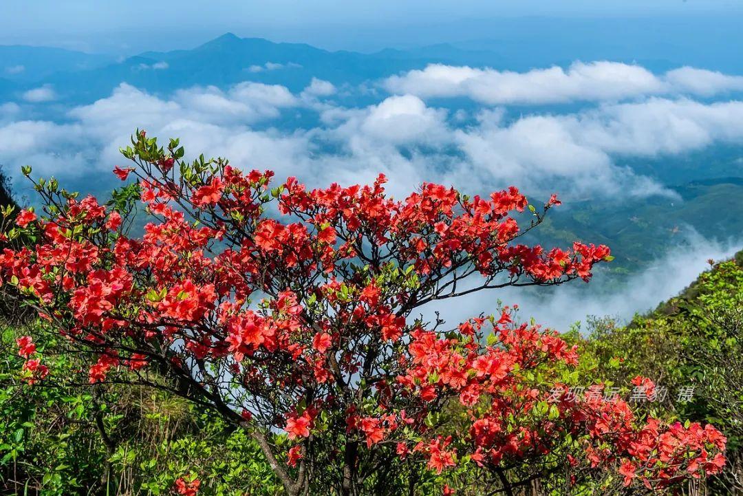 浙江寧波女生徒步回河南過年，跨越山河的旅程