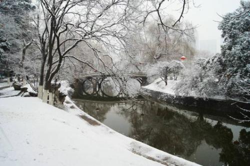 古都西安雪落紛飛，冬日韻味盡顯魅力