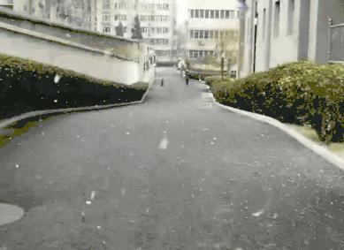 北京下雪