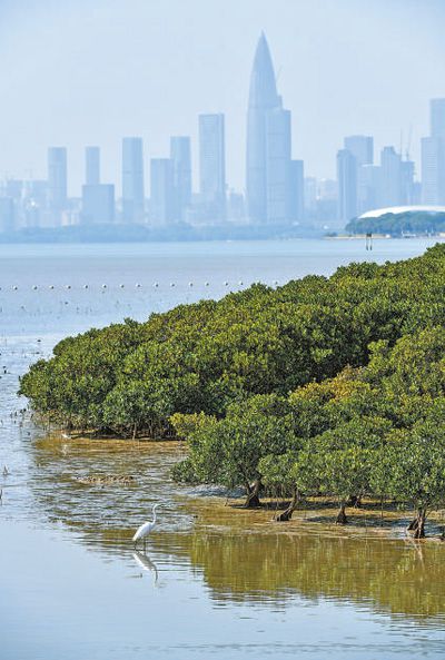 海岸線上的雙重瑰寶，自然與文化交織的綠色國(guó)寶