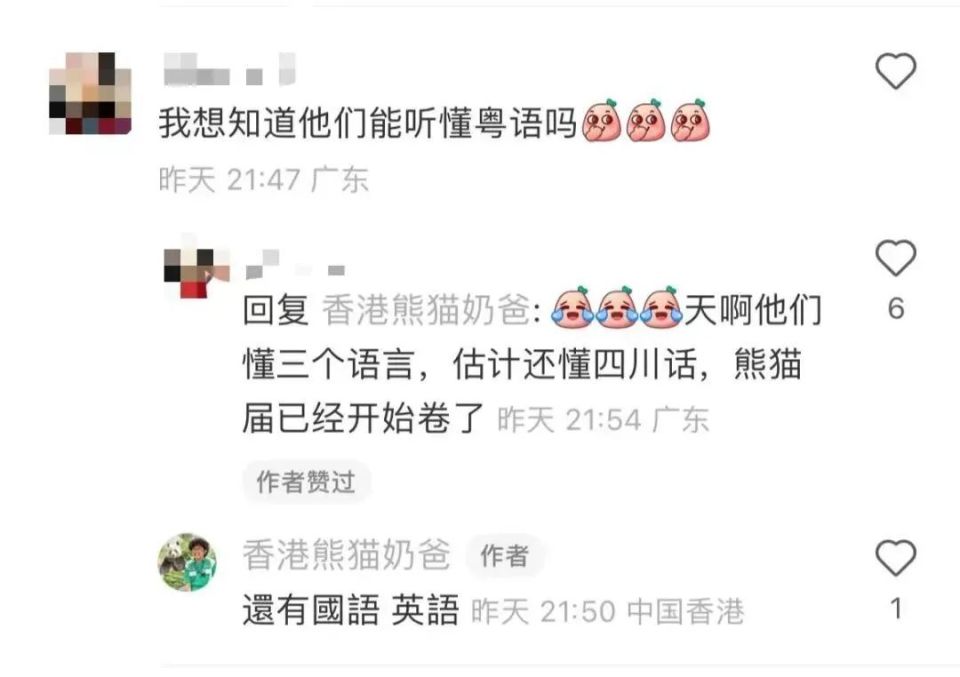 DeepSeek視角下的彩禮金額探討，如何確定合理的彩禮數(shù)額？