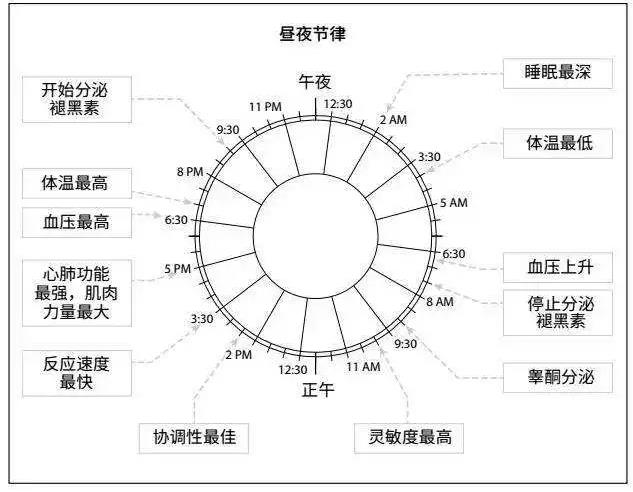 太陽輻射對白天短暫休息恢復(fù)疲勞的角色與影響