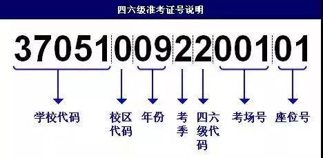 四六級成績背后的故事探索與解析