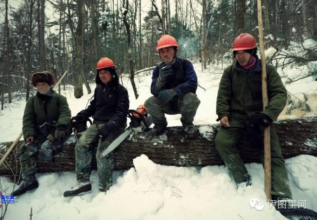 內(nèi)蒙古巨獸犴達(dá)罕現(xiàn)身，本土駝鹿崛起與北美公路殺手保護(hù)之路探索