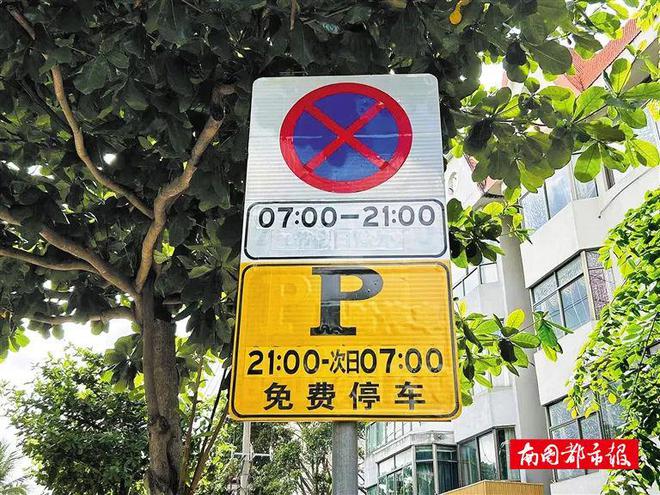 女子停車難題，無奈占位他人車位，理解與包容的力量展現(xiàn)