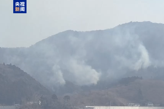 日本面臨五十年最嚴重山火挑戰(zhàn)，應對策略與反思