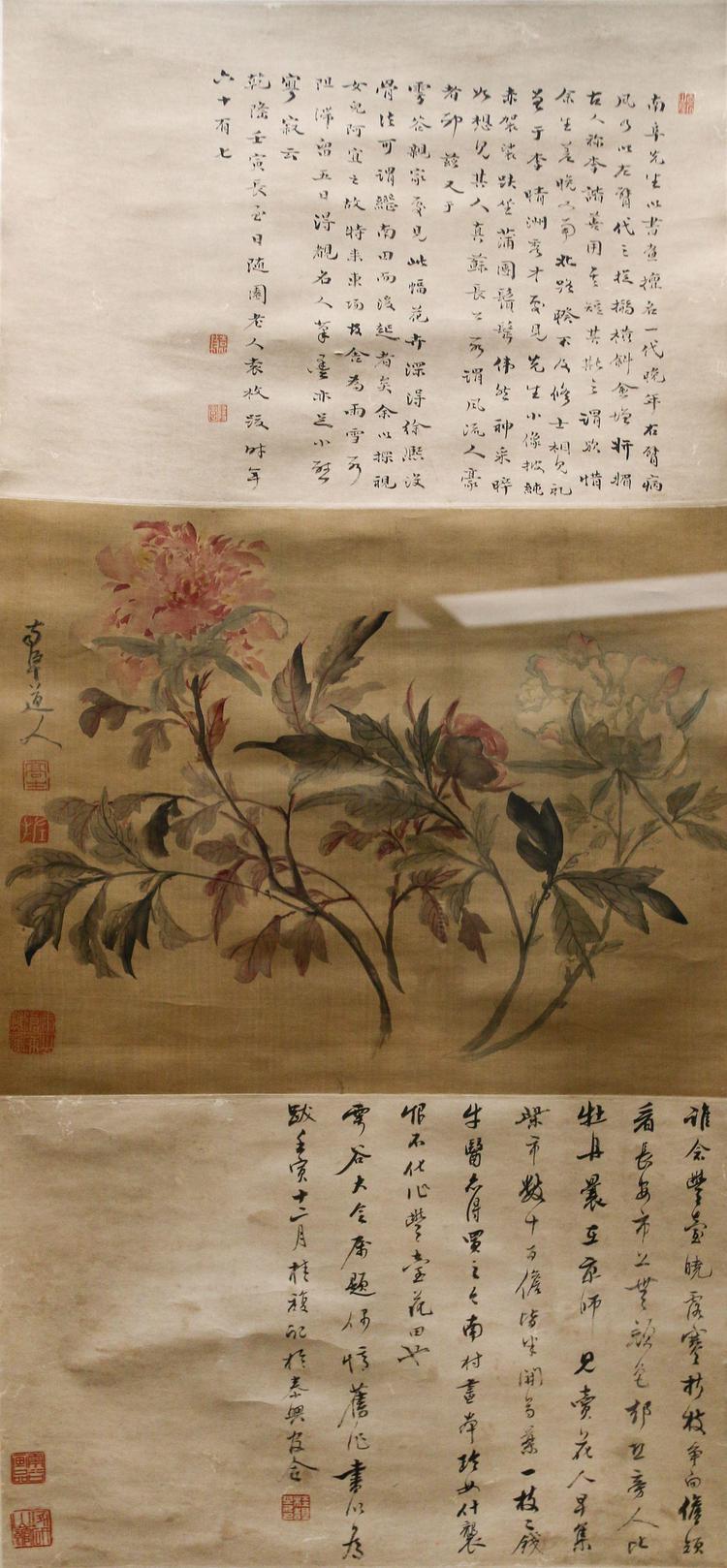 芍藥，古人的愛(ài)情之花