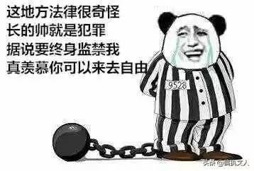 人大代表提議修訂刑法，平衡公正與進步的減法藝術(shù)