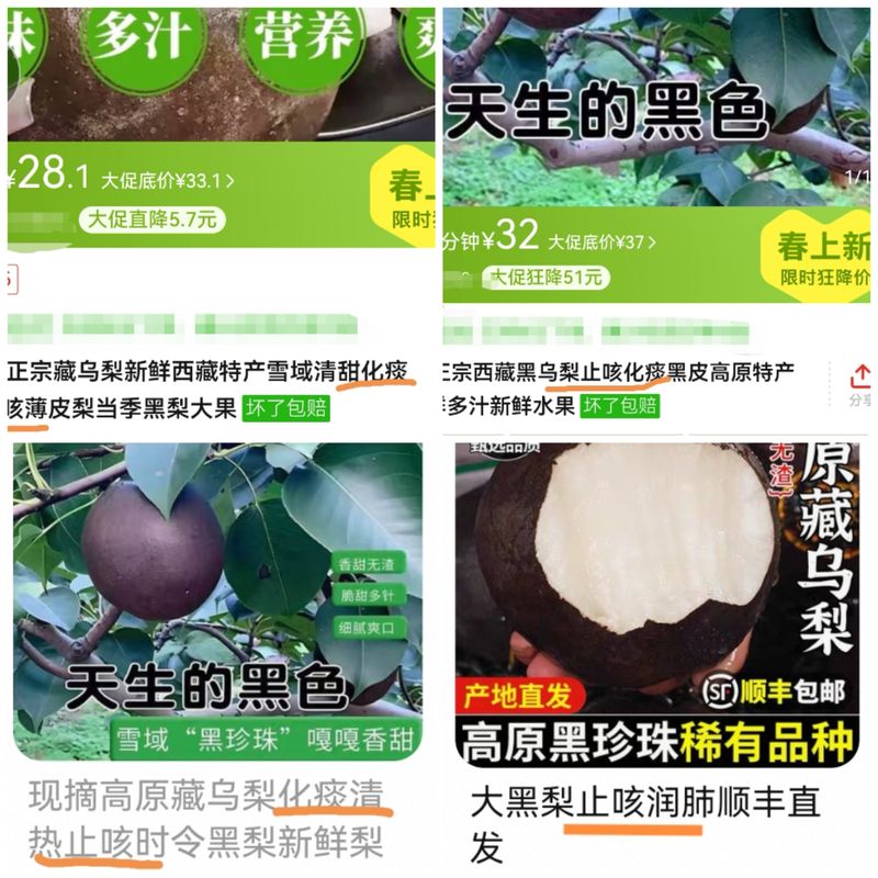 揭秘藏烏梨騙局，深度剖析，警醒公眾！