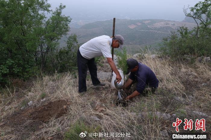 山東六旬夫妻二十年植樹壯舉，綠意傳奇感動人心