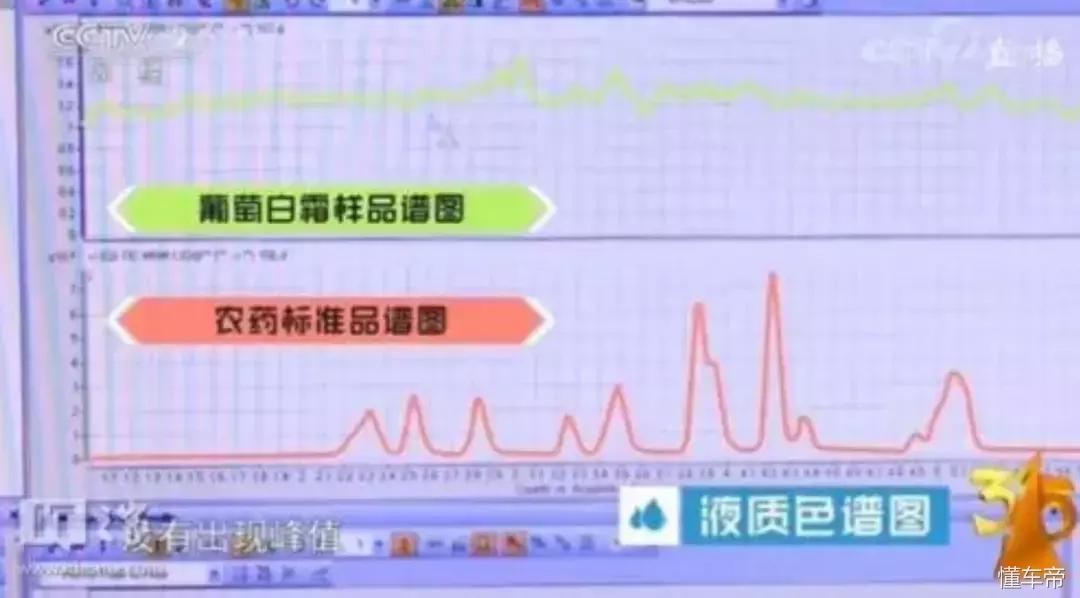 揭秘315名單背后的真相與故事