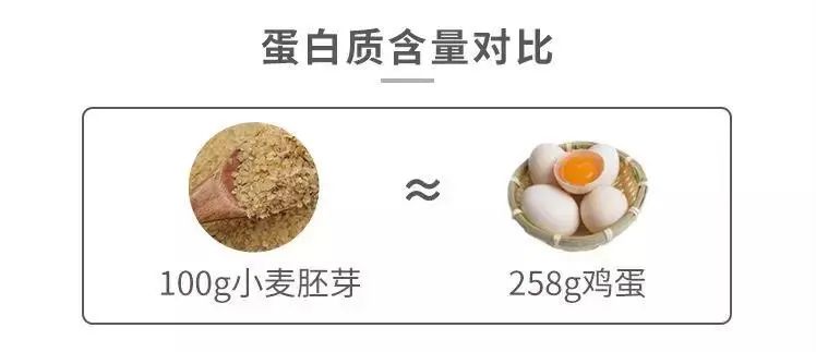 每日攝入兩個雞蛋白，蛋白質攝取量是否過量探討